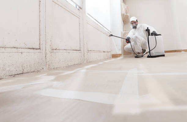 24/7 Emergency Bathroom Mold Removal experts in Marion, VA